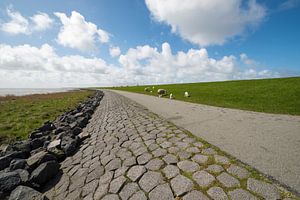 Waddenzee dijk op het eiland Terschelling