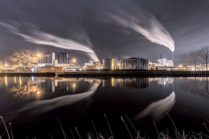 PPG by Reint van Wijk