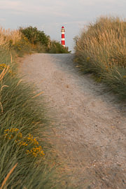 Sentier côtier escarpé à travers les dunes menant au phare sur Mayra Fotografie