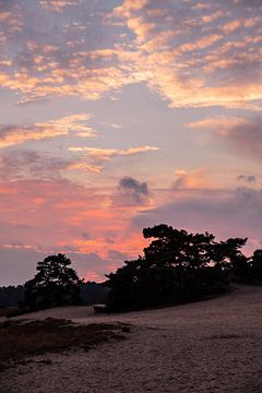 Sunset Colors 5 - Loonse en Drunense Duinen van Deborah de Meijer