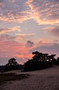 Sunset Colors 5 - Loonse en Drunense Duinen van Deborah de Meijer thumbnail