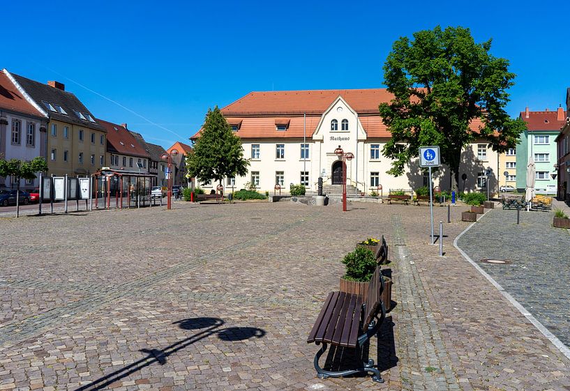 Blick auf die Altstadt von Nienburg mit Rathaus an der Saale, Salzlandkreis in Sachsen-Anhalt, Deutschland von Animaflora PicsStock