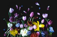 Blumenportrait-Wandkunst (Hain-Frühling) von Ineke VJ Miniaturansicht