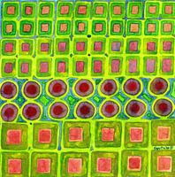 Connected filled Squares Fields 