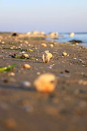 Baltic Sea at sunrise