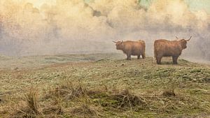 Dünen mit Highlands