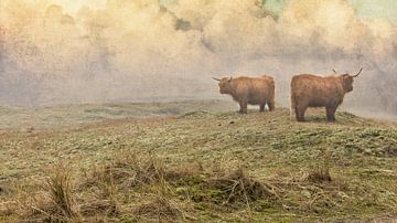 paysage de dunes avec highlanders écossais sur eric van der eijk