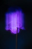 An otherworldly flower still life in shades of purple and blue
