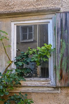 Oud raam van Claudia Evans