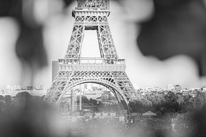 Ongewoonlijk beeld van de Eiffeltoren in Parijs van Melissa Peltenburg