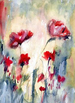 Poppies behind my house by Claudia Gründler
