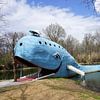 The blue Whale in Catoosa van Tineke Visscher