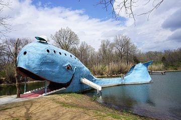 The blue Whale in Catoosa van Tineke Visscher