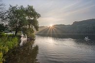 Schwan auf dem Cranenweyer See bei strahlendem Sonnenaufgang von John van de Gazelle fotografie Miniaturansicht