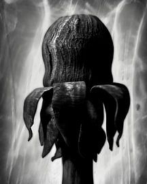 Dense Dandelion by GoStijn