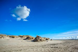 Texel Foto De Hors van Natuurlijk schoon