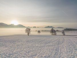 Winterlandschap met sneeuw