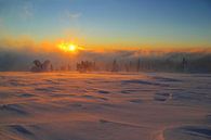 Feldberg im Winter van Patrick Lohmüller thumbnail