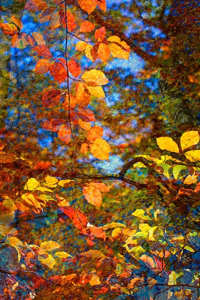 Golden October by Thomas Jäger