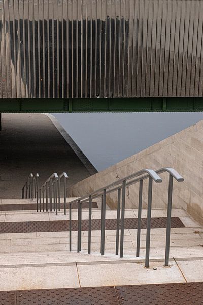 Moderne Linien von Nynke Altenburg