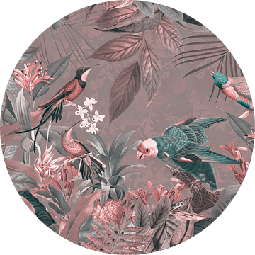 Exotische vogels in het tropisch regenwoud van Andrea Haase