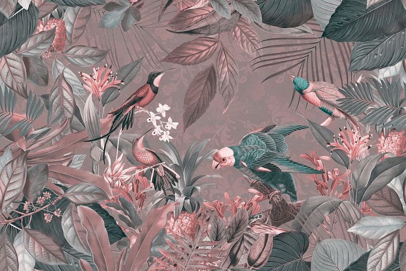 Exotisch Vögel im tropischen Regenwald von Andrea Haase
