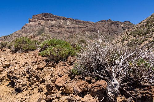 Landschaft auf der Kanarischen Insel Teneriffa
