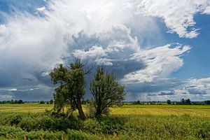 Gewitterwolke über weiter Landschaft 