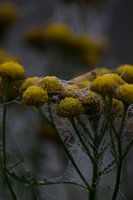 Autumn is coming