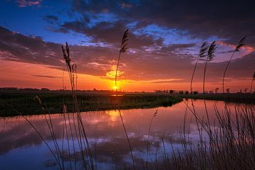 Sonnenaufgang Rhenen von Sander Peters Fotografie