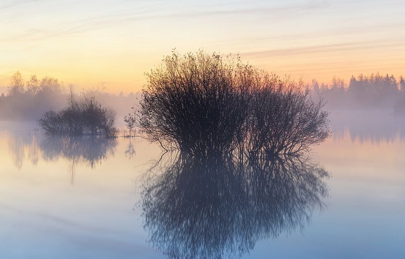 Sunrise Dwingelderveld - The Netherlands (Drenthe) by Marcel Kerdijk