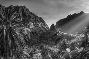 Landschaft beim Dorf Masca auf Teneriffa. Schwarzweiss Bild.