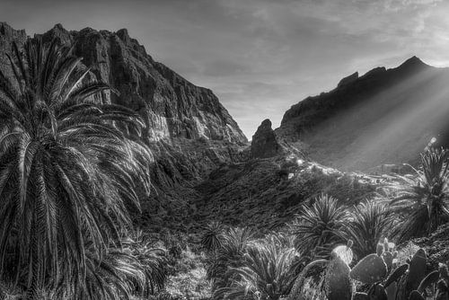 Landschap bij het dorp Masca op Tenerife. Zwart-wit beeld.