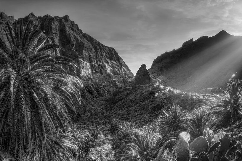 Paysage près du village de Masca à Ténériffe. Image en noir et blanc. par Manfred Voss, Photographie Noir et Blanc
