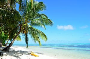 Bounty island beach
