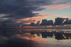 Wad donker en Wad licht