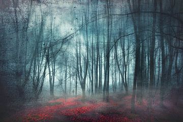 Mystiek bos in de mist van Dirk Wüstenhagen