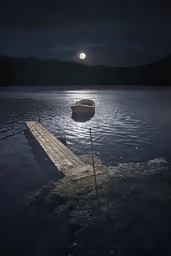 In the moonlight by Elianne van Turennout