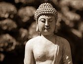 Boeddha, Boedha van Leo Langen thumbnail