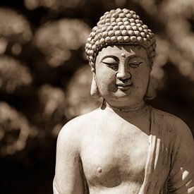 Boeddha, Boedha sur Leo Langen