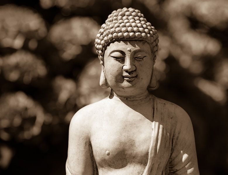Boeddha, Boedha par Leo Langen