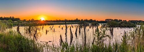Panorama of a sunset in national park De Alde Feanen