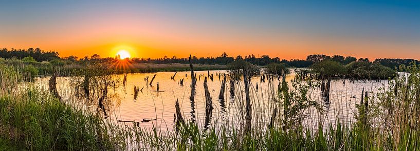 Panorama d'un coucher de soleil dans le parc national De Alde Feanen par Henk Meijer Photography