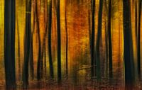 Herfstsfeer