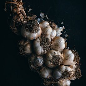 Garlic by Daisy de Fretes