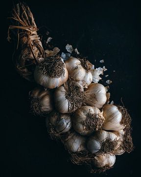 Garlic by Daisy de Fretes
