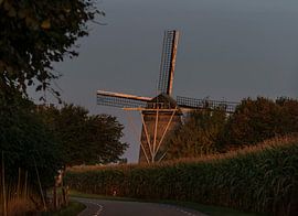 Im Morgenlicht Van Tienhoven Mühle, Wolfshuis, Bemelen, Südlimburg von Flachsfotografie