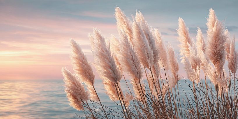 Boho Sunset Vibes von Melanie Viola