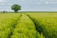 Vlaamse Ardennen
