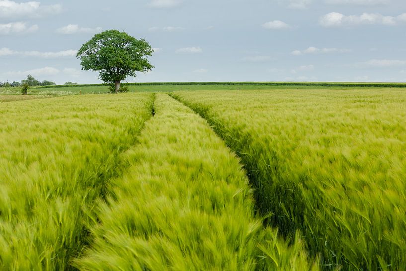 Vlaamse Ardennen von Steven Hendrix